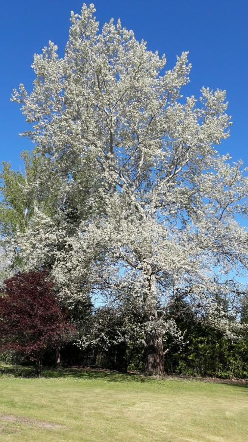 Chambres D'Hotes Le Muguet Mandacou Zewnętrze zdjęcie